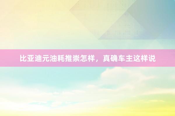 比亚迪元油耗推崇怎样，真确车主这样说