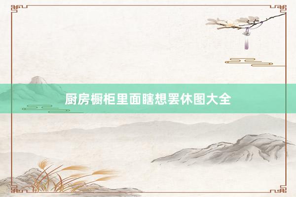 厨房橱柜里面瞎想罢休图大全