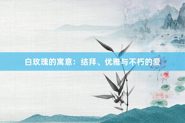 白玫瑰的寓意：结拜、优雅与不朽的爱