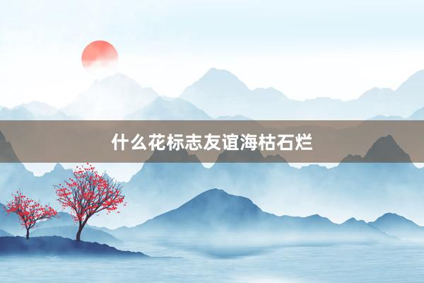 什么花标志友谊海枯石烂