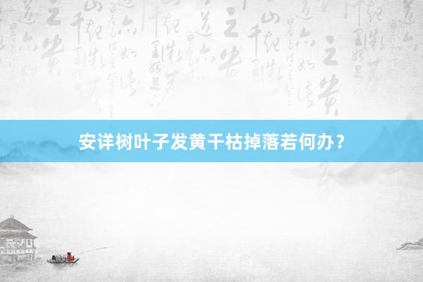 安详树叶子发黄干枯掉落若何办？