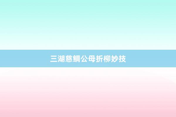 三湖慈鲷公母折柳妙技